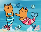 Gatos sirena