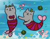 Gatos sirena