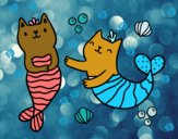 Gatos sirena