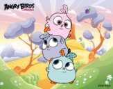 Las crias de Angry Birds