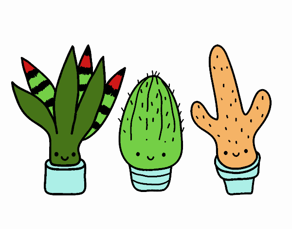 MINI CACTUS