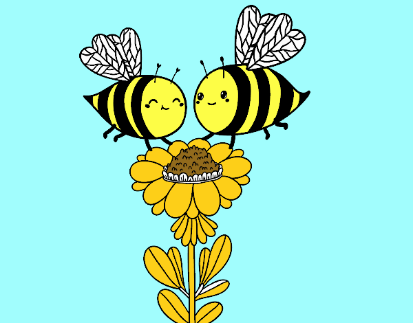 Pareja de abejas