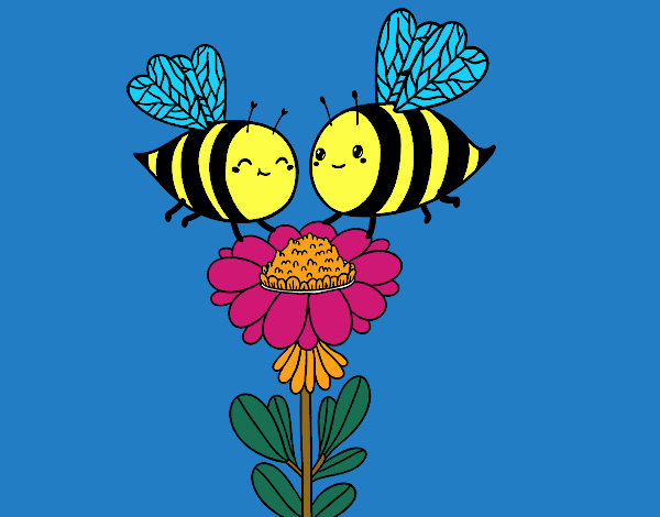 Pareja de abejas