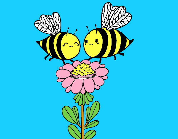 Pareja de abejas