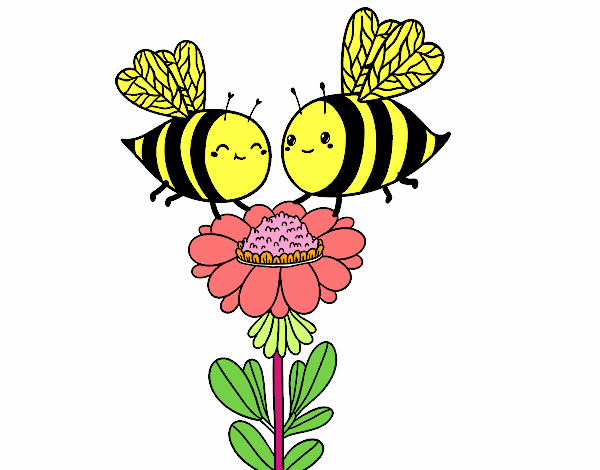 Pareja de abejas