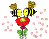 Pareja de abejas