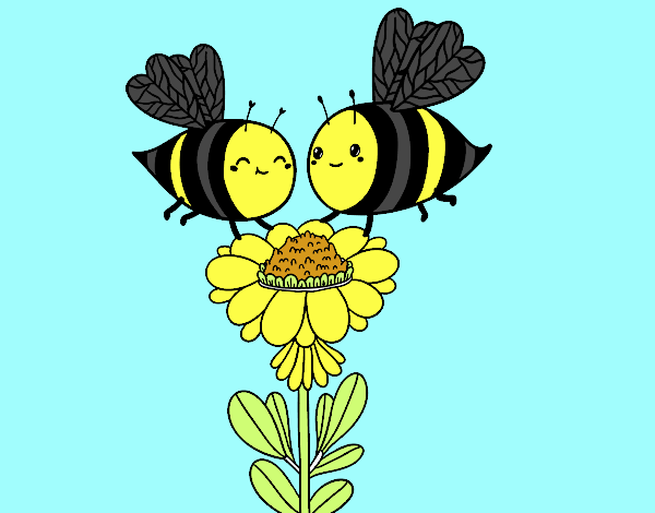 Pareja de abejas