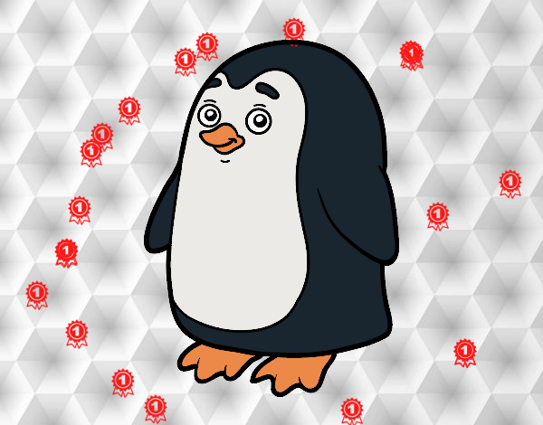 pinguino