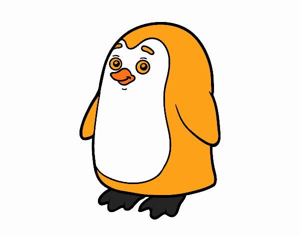 golden pinguin