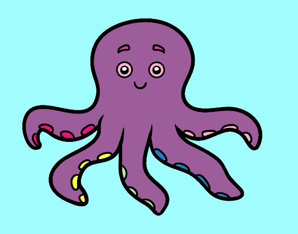 pulpo