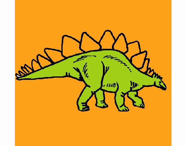 Stegosaurus