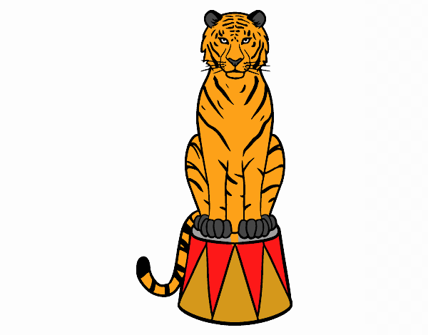 Tigre de circo