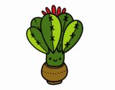 Un cactus con flor