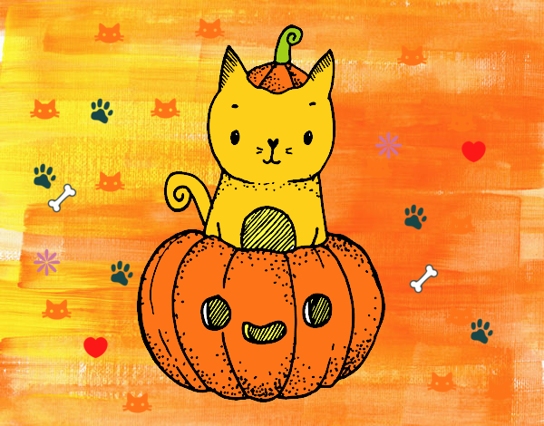 Un gatito de Halloween