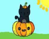 Un gatito de Halloween