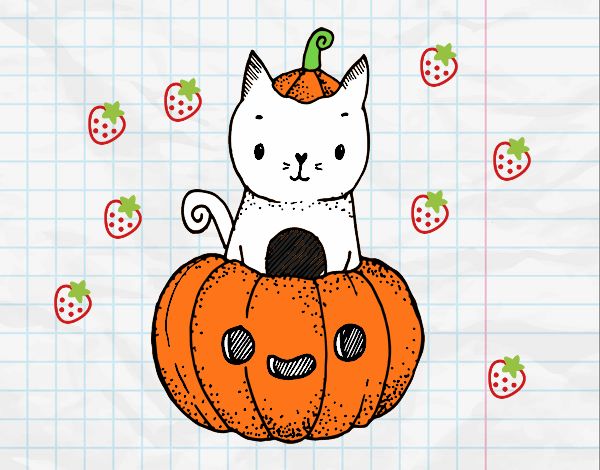 gatito de halloween 