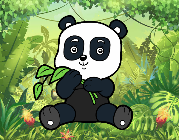 Un oso panda