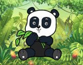 Un oso panda