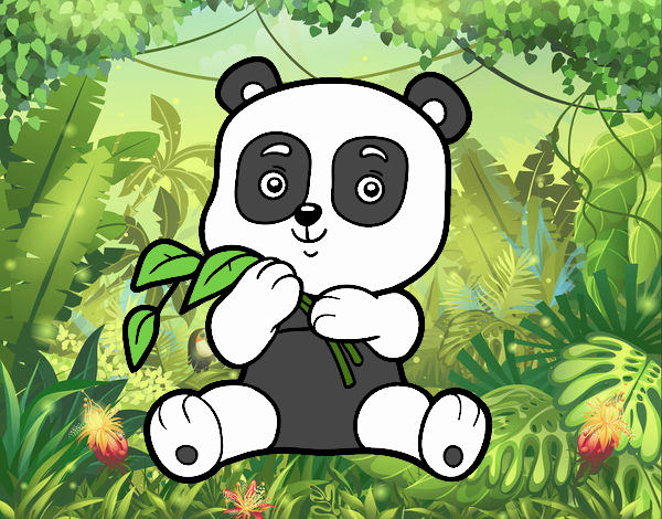 Un oso panda