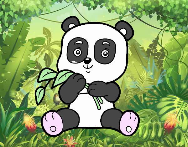 Oso Panda 