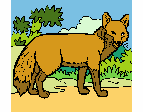 El zorrito