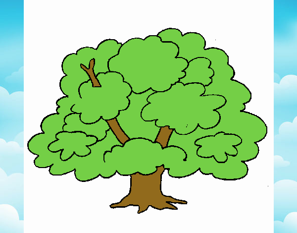 Árbol