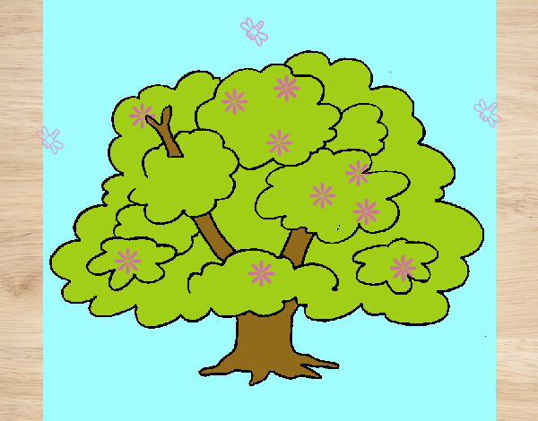 Árbol