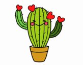 Cactus corazón