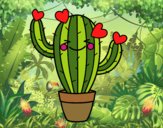 Cactus corazón