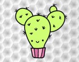 Cactus nopal