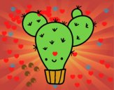 Cactus nopal