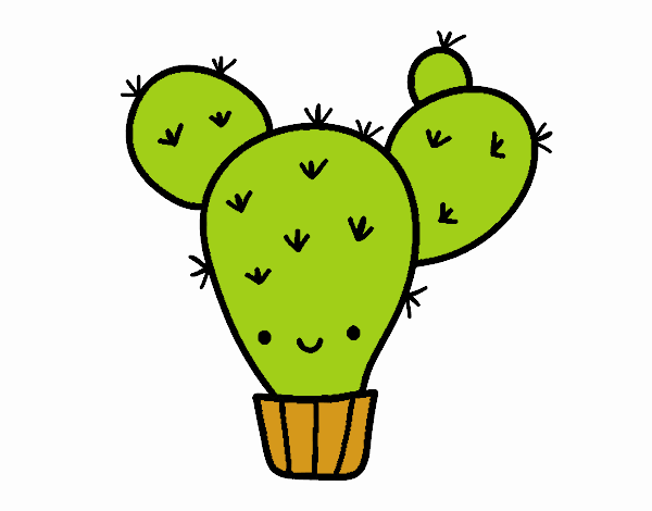 Cactus bebe