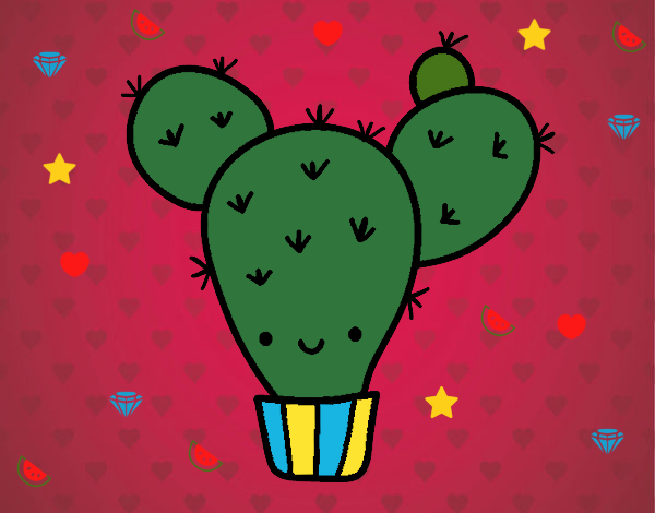 Cactus nopal