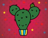 Cactus nopal