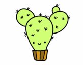 Cactus nopal