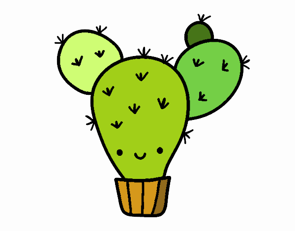 Cactus nopal