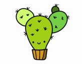 Cactus nopal