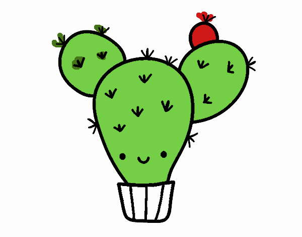 Cactus nopal