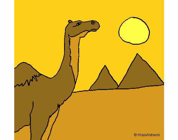 Dibujo de Camello pintado por en  el día 26-09-20 a las  01:04:45. Imprime, pinta o colorea tus propios dibujos!