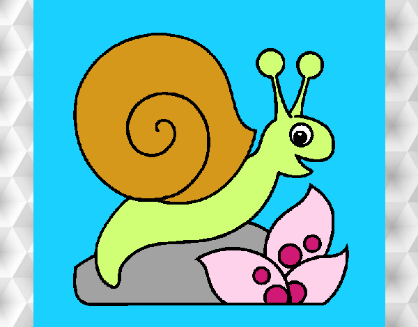 Caracol