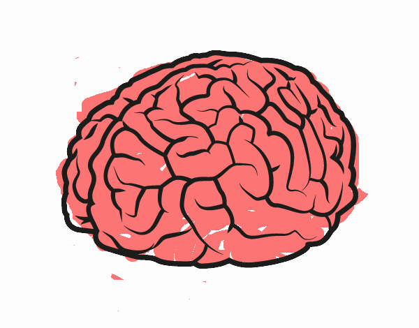 Dibujo de Cerebro pintado por en  el día 23-09-20 a las  15:45:43. Imprime, pinta o colorea tus propios dibujos!
