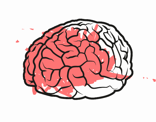 Dibujo de Cerebro pintado por en  el día 23-09-20 a las  15:47:31. Imprime, pinta o colorea tus propios dibujos!