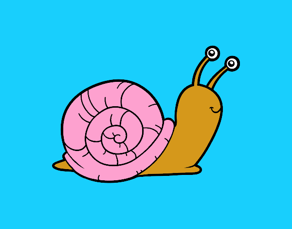 El caracol