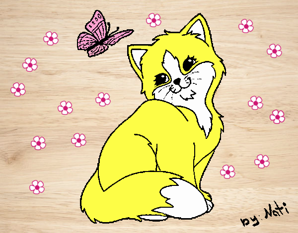 Gatito y mariposa