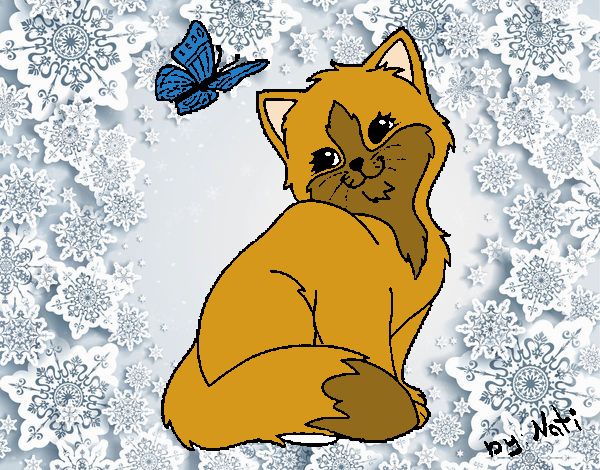 Gatito y mariposa