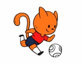 Gato jugando a fútbol