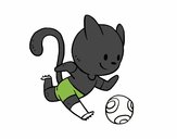 Gato jugando a fútbol