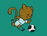 Gato jugando a fútbol