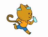 Gato runner