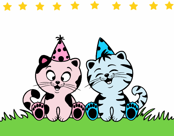 Gatos de cumpleaños